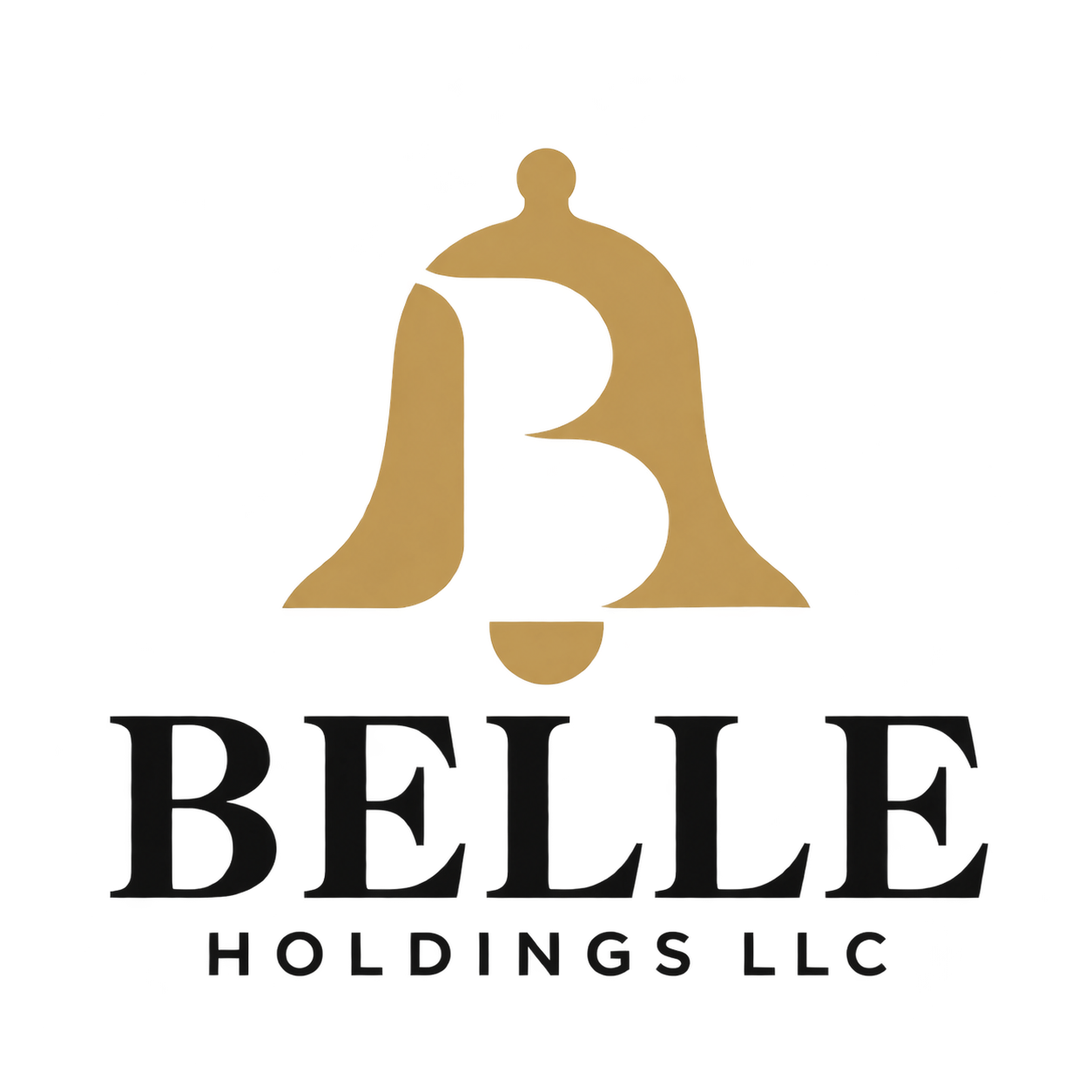 BELLE Holdings LLC